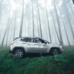 Voiture garée depuis des mois dans une forêt brumeuse. La nature reprend ses droits autour du véhicule abandonné.