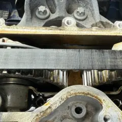 Détail de la courroie de distribution d'un C4 Picasso, montrant l'usure et les engrenages.