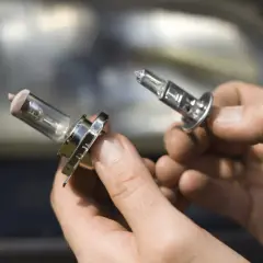Deux ampoules H7 sont tenues dans des mains. Quelle voiture utilise ce type d'ampoule ?