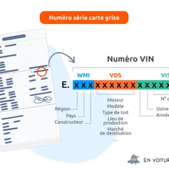 Détail du numéro VIN sur une carte grise, expliquant la motorisation et d'autres caractéristiques du véhicule.