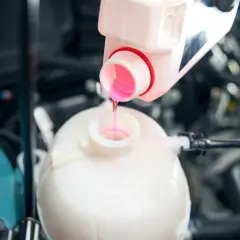 Remplissage du réservoir d'expansion avec du liquide de refroidissement OAT rose pour assurer le bon fonctionnement du moteur.