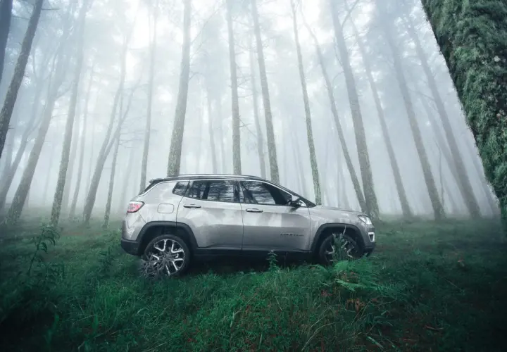 Voiture garée depuis des mois dans une forêt brumeuse. La nature reprend ses droits autour du véhicule abandonné.