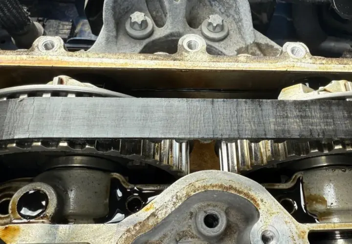 Détail de la courroie de distribution d'un C4 Picasso, montrant l'usure et les engrenages.
