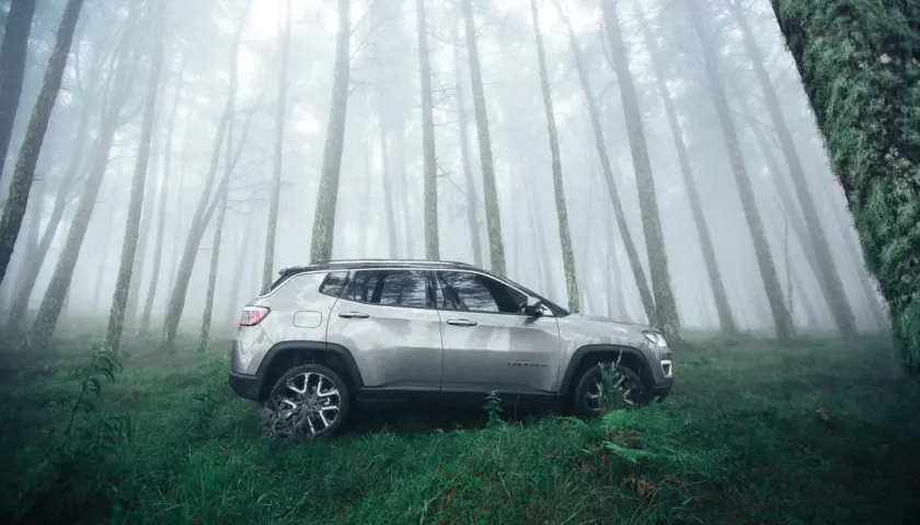 Voiture garée depuis des mois dans une forêt brumeuse. La nature reprend ses droits autour du véhicule abandonné.