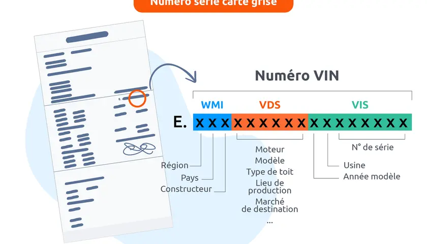 Détail du numéro VIN sur une carte grise, expliquant la motorisation et d'autres caractéristiques du véhicule.