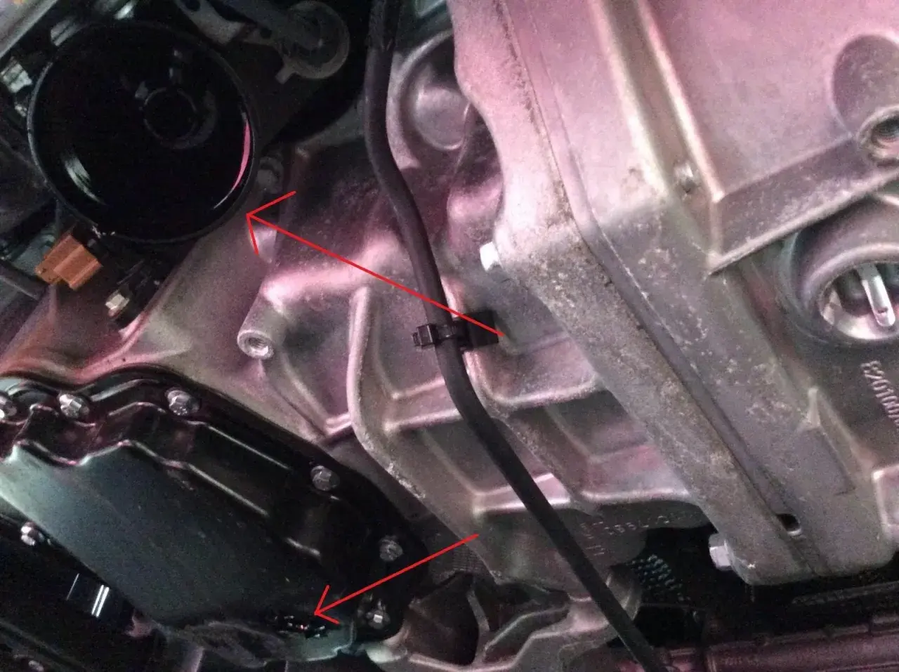 Vue détaillée du moteur d'une Scenic 3, montrant le carter d'huile et le filtre, lors d'une vidange.