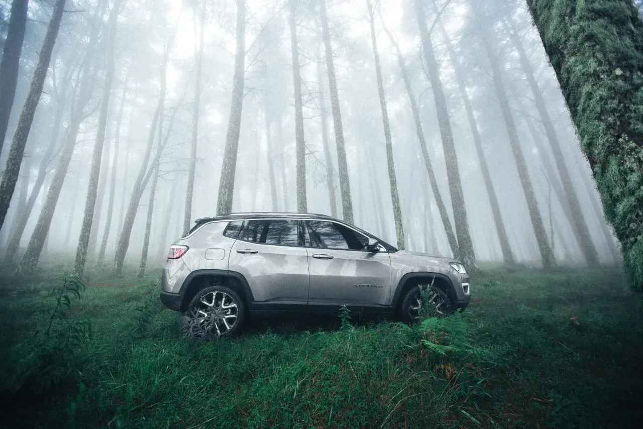 Voiture garée depuis des mois dans une forêt brumeuse. La nature reprend ses droits autour du véhicule abandonné.
