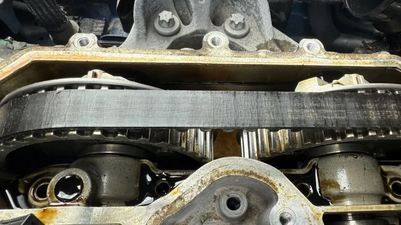 Détail de la courroie de distribution d'un C4 Picasso, montrant l'usure et les engrenages.