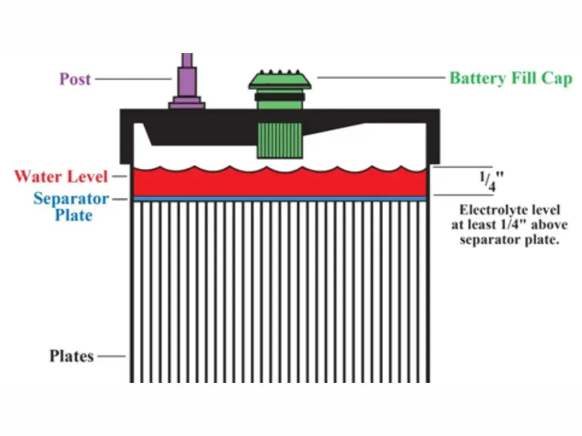 Schéma d'une batterie montrant le niveau d'eau pour batterie, les plaques et l'électrolyte.