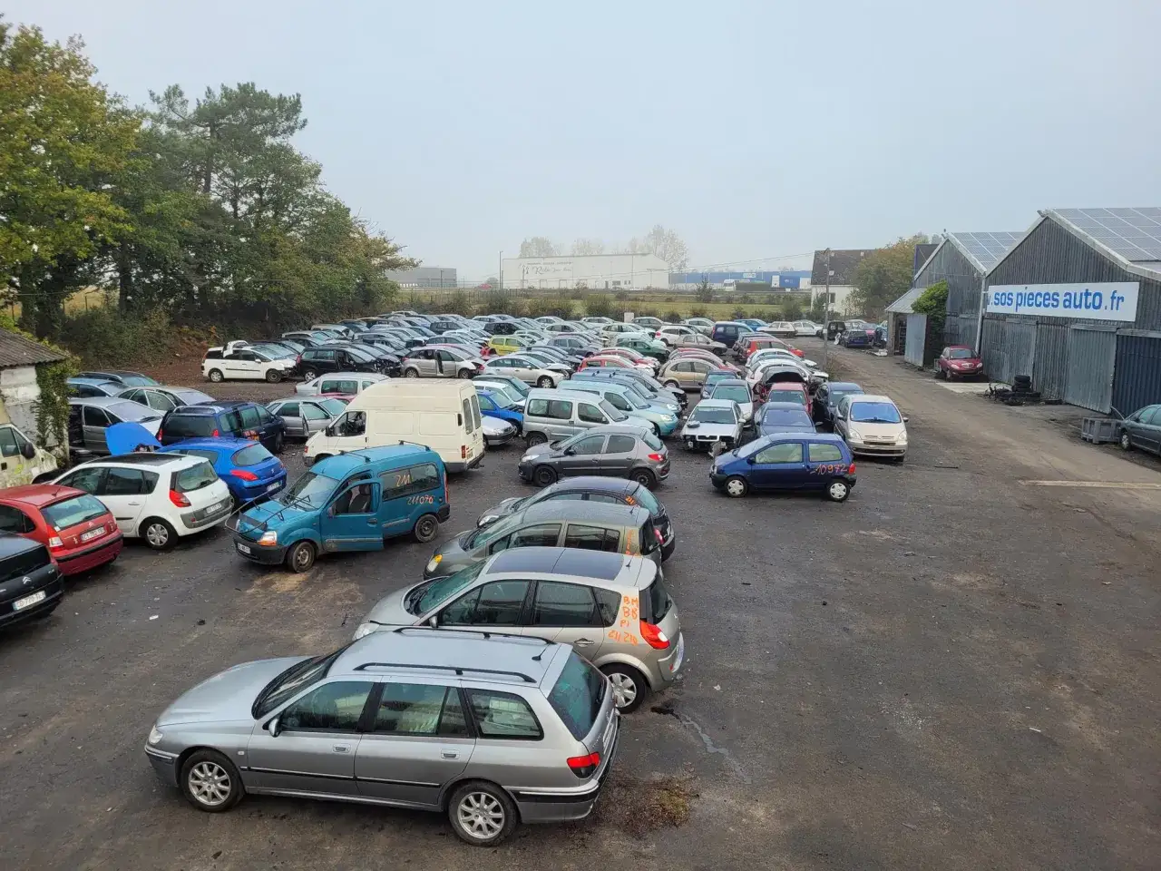 Vaste parc automobile où chaque véhicule attend de devenir une pièce de réemploi. Des voitures de toutes marques et modèles sont alignées, certaines en attente de démontage.